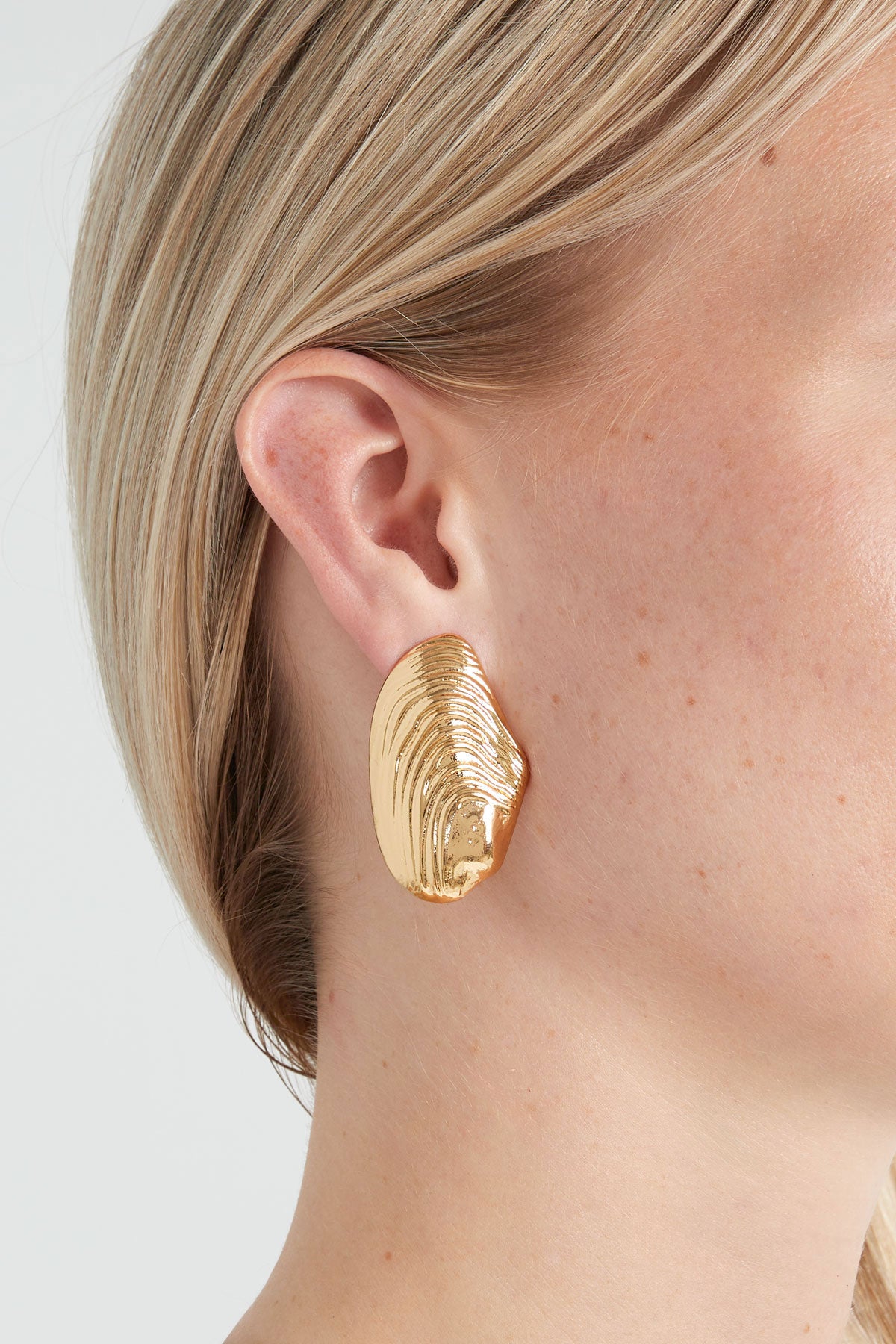 Seashell Earrings