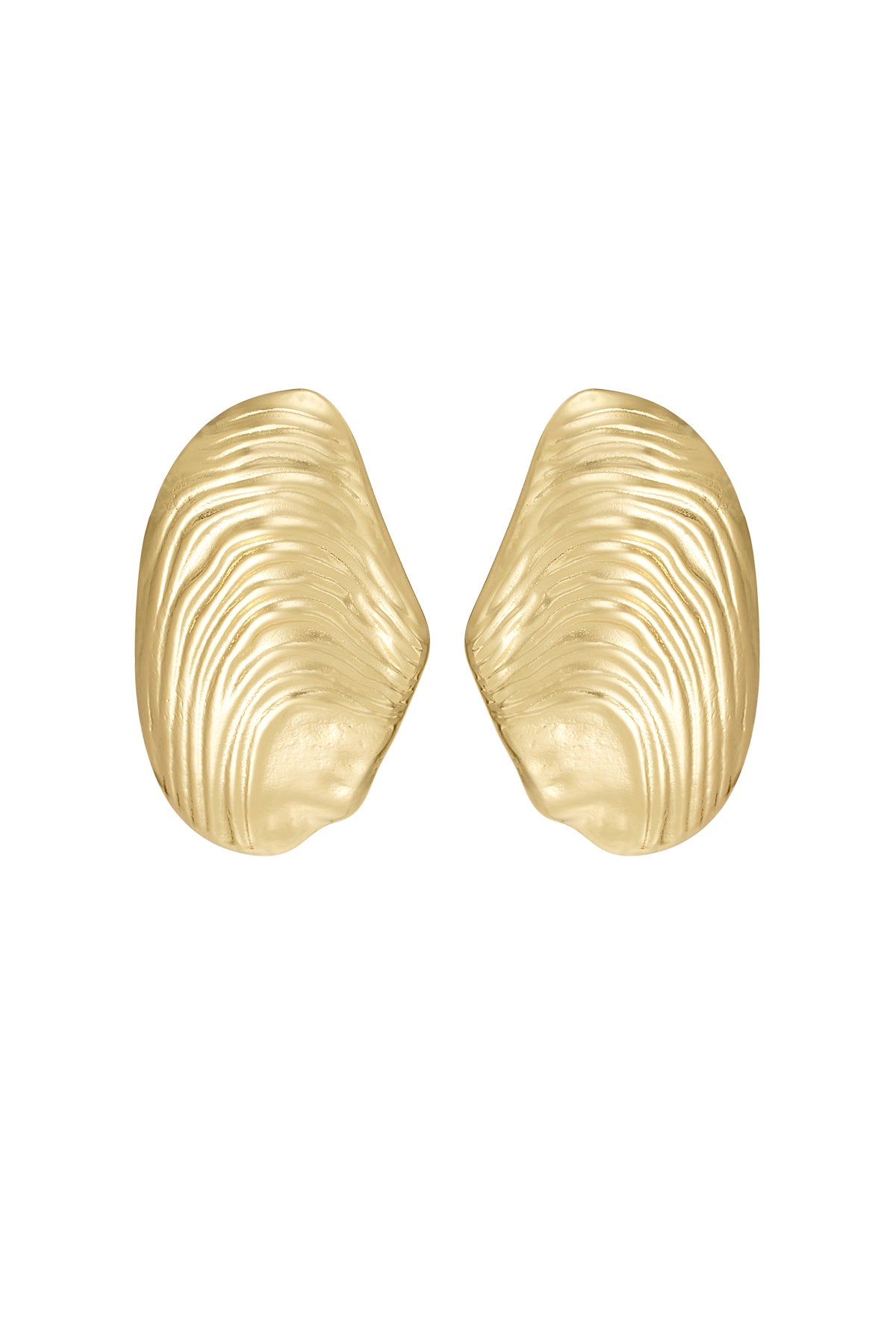 Seashell Earrings