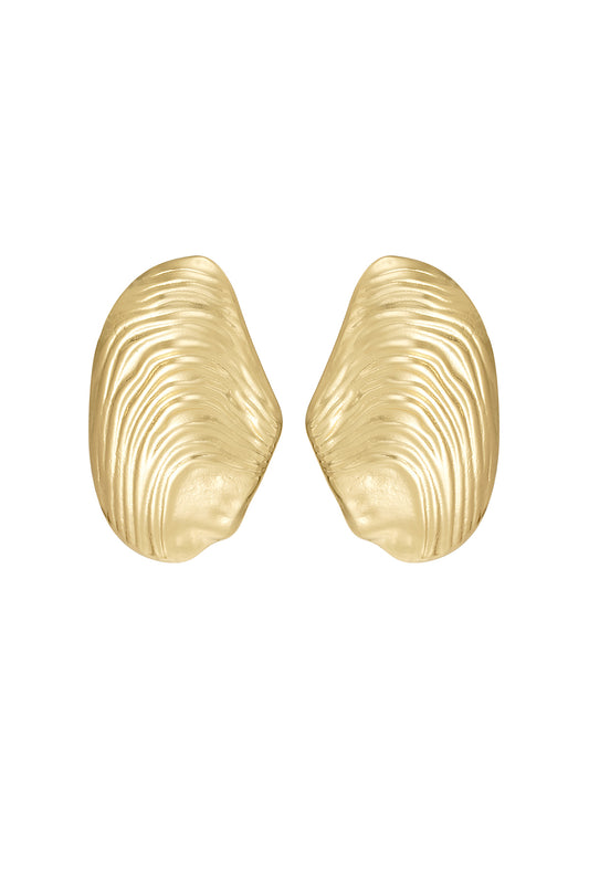 Seashell Earrings